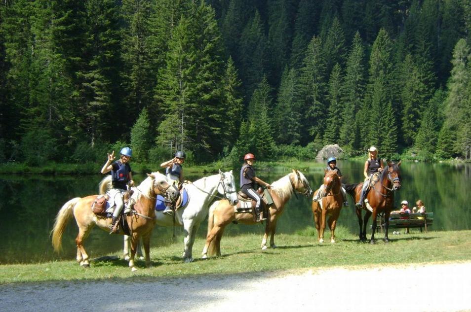 Pieve Tesino 塔克斯旅舍旅舍 外观 照片